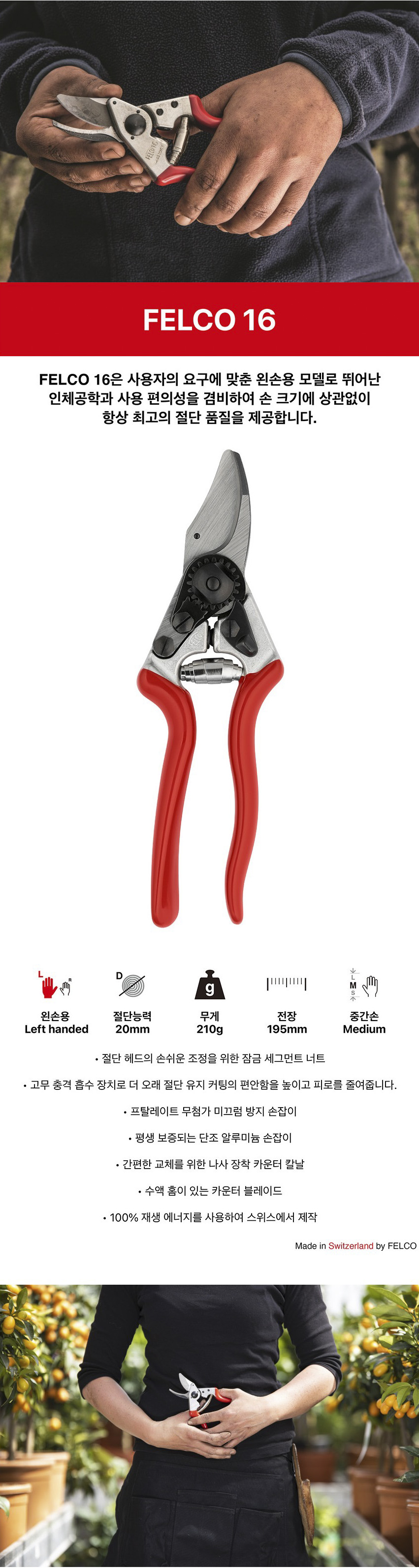 FELCO16.JPG