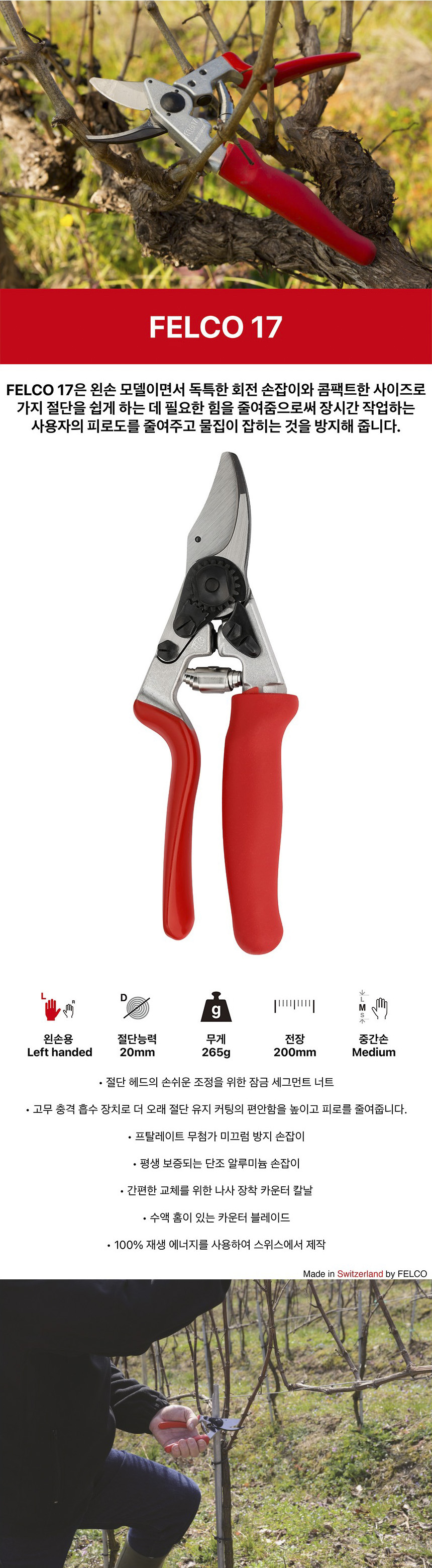FELCO17.JPG