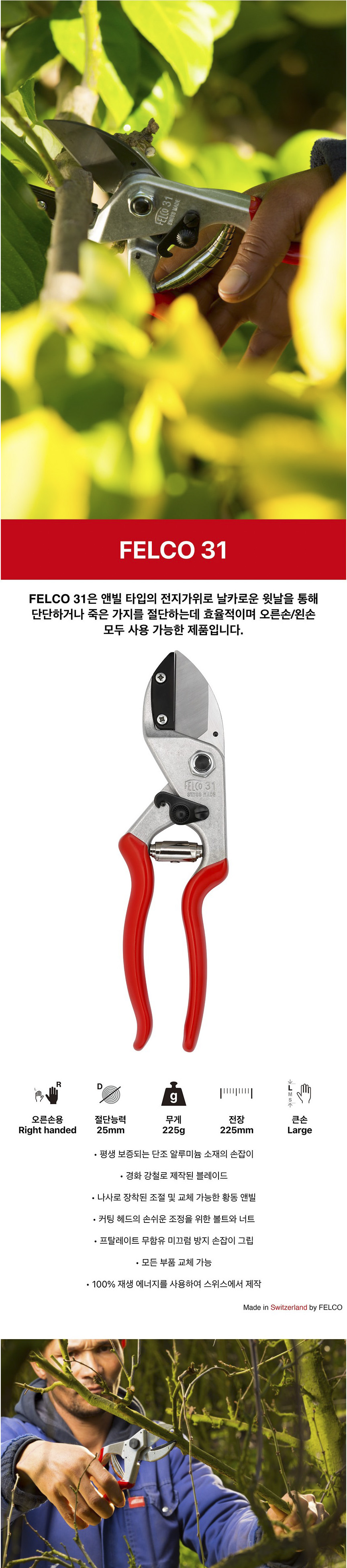 FELCO31.JPG